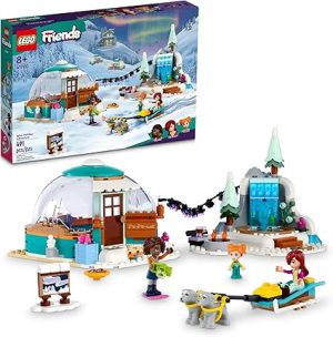 Igloo Adventure - 41760