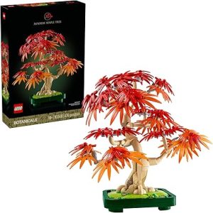 Japanese Red Maple Bonsai Tree - 10348