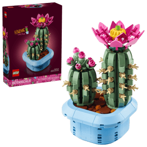 Flowering Cactus - 11509
