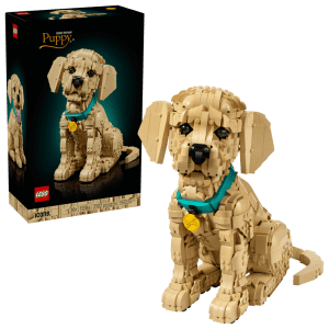 Golden Retriever Puppy - 11384