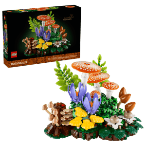 Woodland Mushrooms - 11505